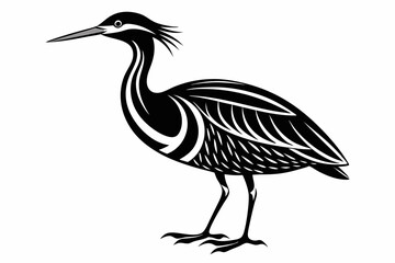 Fototapeta premium american bittern sihouette black vector