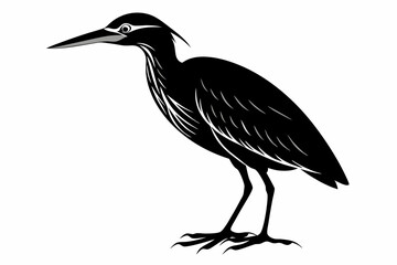 american bittern sihouette black vector