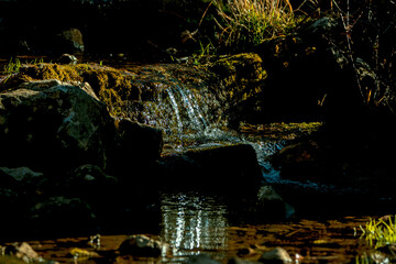 Río Guadalquivir , en el parque natural de Cazorla, Segura y Las Villas.