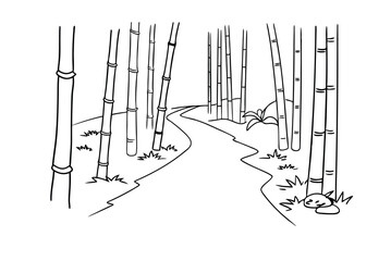 Bamboo Forest Path Sketch Illustration Vector Graphic Asian Nature Design