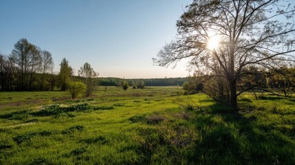 Obraz premium A peaceful spring morning landscape.
