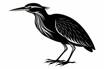 Fototapeta premium american bittern sihouette black vector