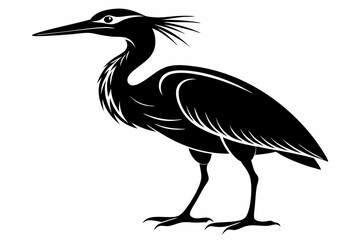 Fototapeta premium american bittern sihouette black vector