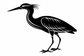 Fototapeta premium american bittern sihouette black vector