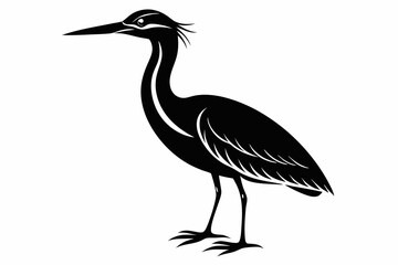 Fototapeta premium american bittern sihouette black vector