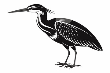 Fototapeta premium american bittern sihouette black vector
