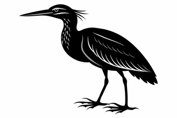 Fototapeta premium american bittern sihouette black vector