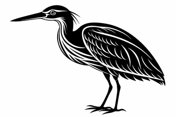 Obraz premium american bittern sihouette black vector