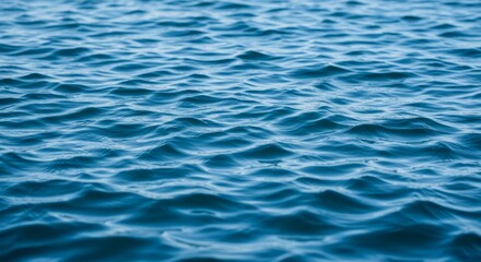 Tranquil Blue Water Surface - Calm ocean water with gentle waves, perfect for backgrounds or textures. Serene blue tones