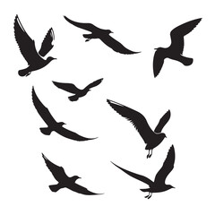 Silhouette illustration of a flock of seagulls in flight