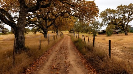 Autumn scene with oak trees.
