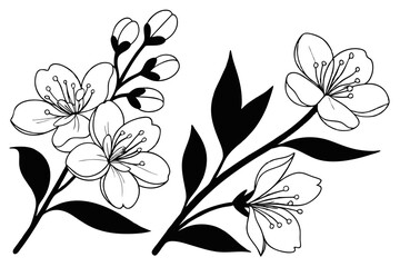 flower vector set