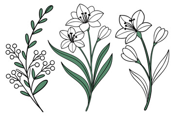 flower vector set