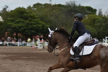 Rolgordijnen zonder boren Torneo de equitación © ferbratti