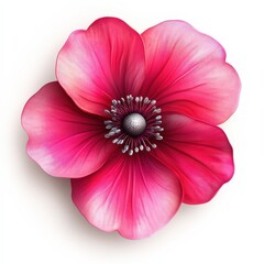 Vivid Pink Flower Blossom Detailed Macro Shot Isolated on White Background Perfect for Design Projects and Floral Art