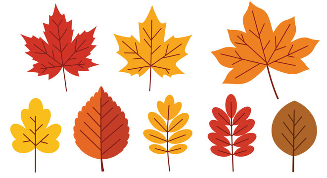 Colorful autumn leaves in various shapes and sizes in flat vector art style vector illustration