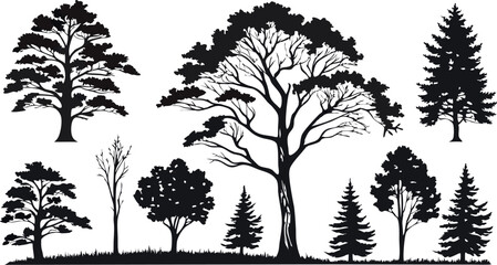 Obraz premium Pine Tree Forest Silhouette – Black and White Evergreen Tree line Vector Illustration