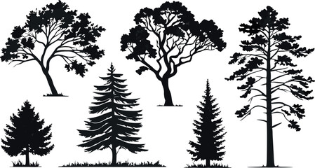 Pine Tree Forest Silhouette &ndash; Black and White Evergreen Tree line Vector Illustration