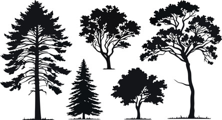 Obraz premium Pine Tree Forest Silhouette – Black and White Evergreen Tree line Vector Illustration
