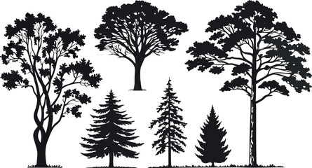 Obraz premium Pine Tree Forest Silhouette – Black and White Evergreen Tree line Vector Illustration