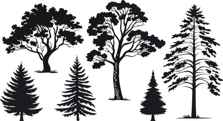 Obraz premium Pine Tree Forest Silhouette – Black and White Evergreen Tree line Vector Illustration