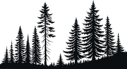Obraz premium Pine Tree Forest Silhouette – Black and White Evergreen Tree line Vector Illustration