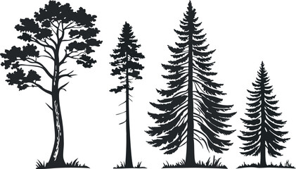 Naklejka premium Pine Tree Forest Silhouette – Black and White Evergreen Tree line Vector Illustration