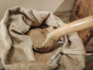 A rustic burlap sack brimming with wheat grains, accompanied by a wooden scoop, evokes traditional...