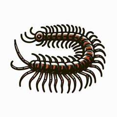 centipede vector illustration