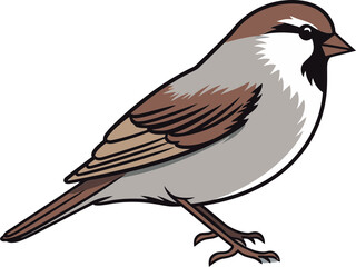 Obraz premium Sparrow Bird Sitting on Branch in Sunshine Sparrow in the Air with Clear Blue Sky