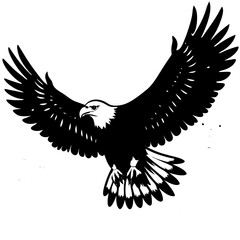 Obraz premium eagle with wings