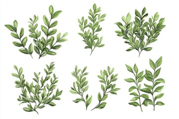 Naklejka premium A set of green vector bushes on a white background, ideal for environmental or botanical-themed illustrations.