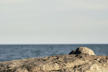 Tranquil seaside rock formation against a calm ocean horizon
