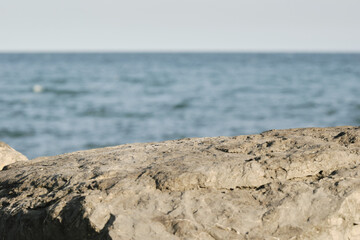 Serene ocean horizon and textured rocks underneath clear blue sky