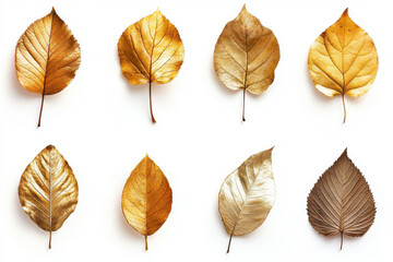 Collection of different colored leaves scattered on a forest floor, creating a vibrant mosaic of autumn hues.