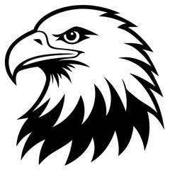Fototapeta premium eagle head vector illustration
