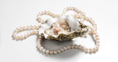 Pearl, One natural pearl inside the oyster shell, close up, on light gray background. Nacre. Real Pearls necklace. Mother-of-pearl. Wealth concept. 