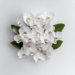 Obraz premium Lush Orchid Square – Minimal Floral Mockup with Copy Space | Trendy AI Flat Lay for Branding & Design