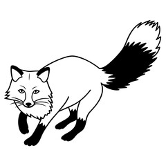 a-fox-running-towards