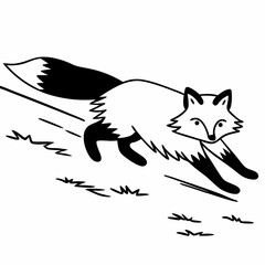a-fox-running-towards