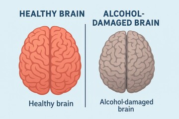 The image shows two brains: one healthy and colorful, the other alcohol-damaged and muted, highlighting alcohol's structural effects