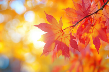 Vibrant autumn leaves in varied colors beautifully scattered across the ground - creating a picturesque and colorful fall scene.