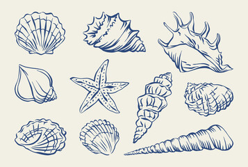 Seashell hand drawn in ink set. Vector illustration of marine shells. Summer vacation doodle shells for card, poster, menu, banner. Tropical nautical beach shell collection for summer design.