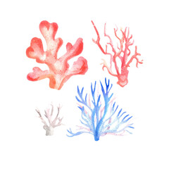 Fototapeta premium set of watercolor illustrations of corals