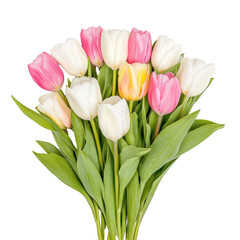 Fototapeta premium Vibrant Tulip Bouquet: A delightful arrangement of colorful tulips, bursting with fresh petals and lush green leaves, evokes springtime's beauty and joy. 