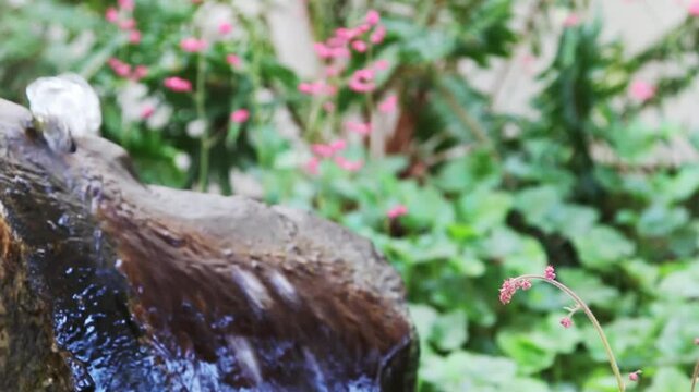 Water Bubbling Up And Flowing Over Rock Fountain With Green Leaves And Corel Bell Flowers
