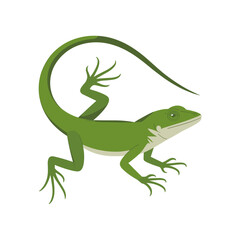 Minimalist Green Anole Lizard Vector Illustration