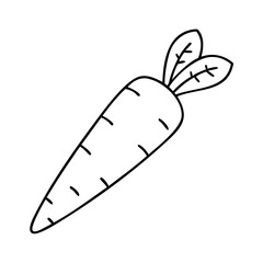 carrot icon, carrot line art - simple line art of carrot, perfect for carrot logos and icons
