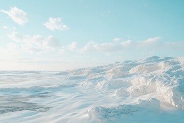 Fototapeta premium A serene winter landscape of frosted terrain under a pale sky.