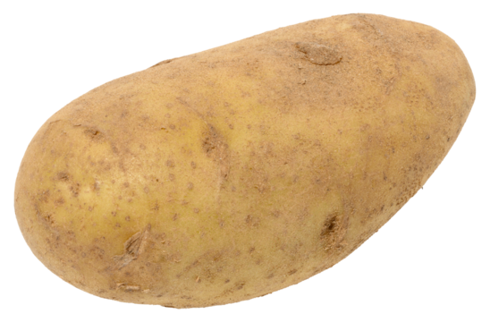 Whole potato with a light brown, slightly rough skin, isolated background. The potato has an oval shape